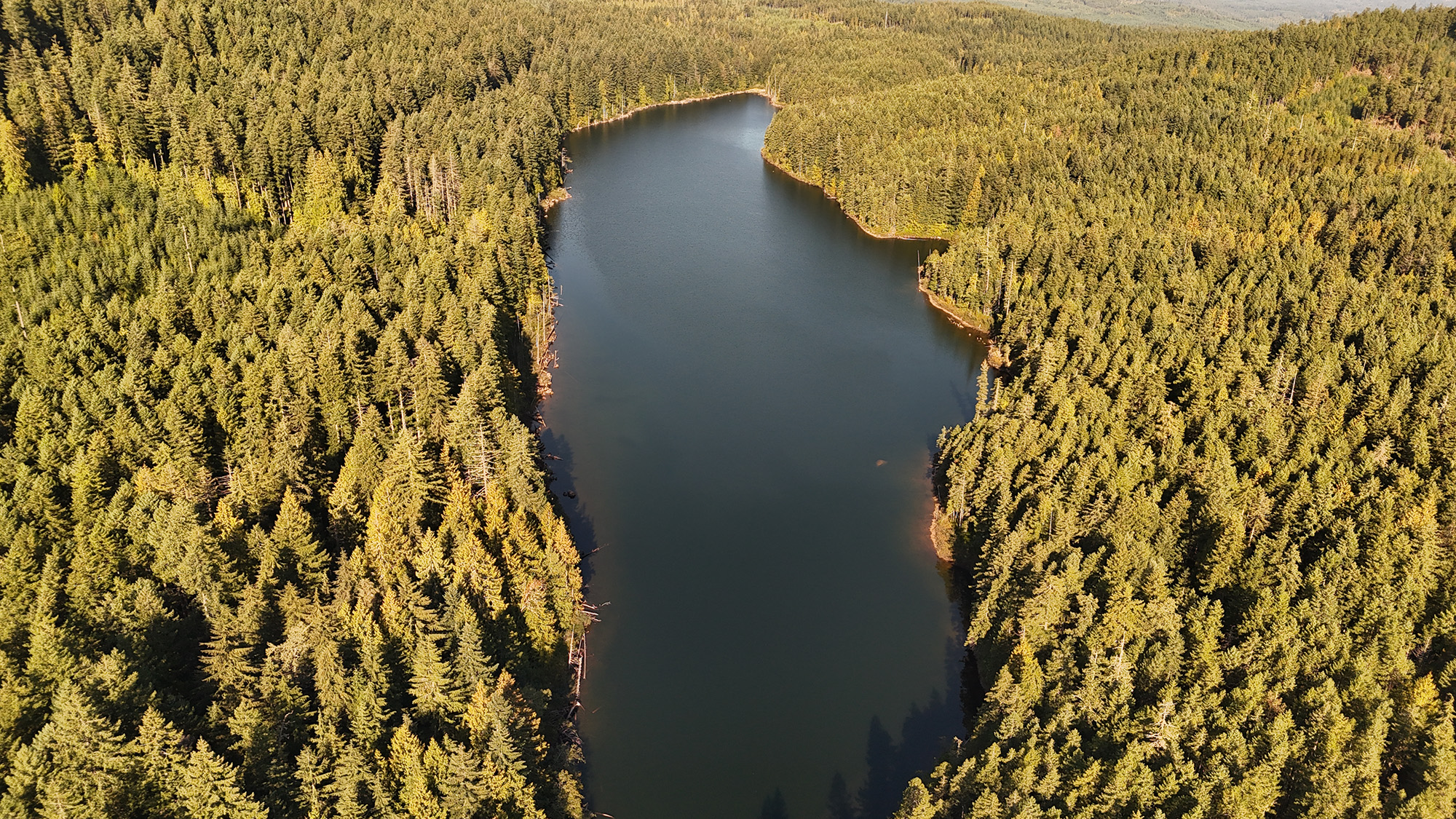 Forestry & 
Resource Analysis